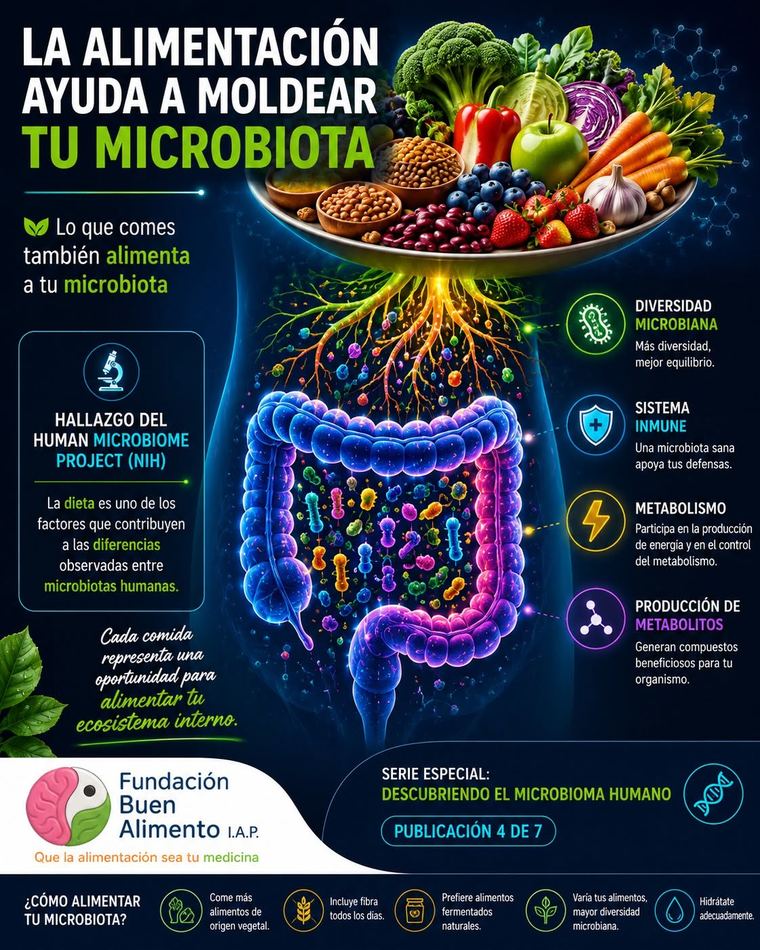 Infografía: La alimentación ayuda a moldear tu microbiota